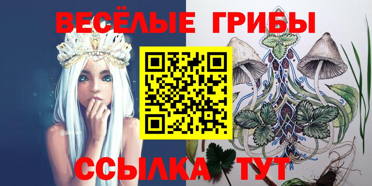Псилоцибиновые грибы Psilocybine cubensis  Вход с VPN  Рассказово  Псилоцибиновые грибы GOLDEN TEACHER 